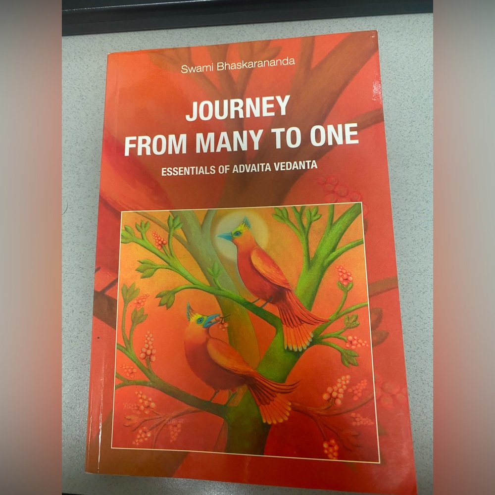 Journey From Many To One book